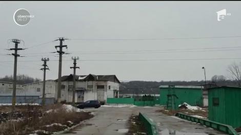 Alertă în judeţul Olt, sute de mii de ouă au fost şi aici contaminate cu insecticid