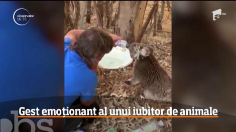 Gest emoționant al unui iubitor de animale