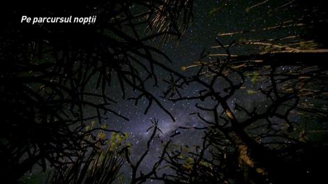 Noapte de coșmar pentru Ioana Șulea, la ”Ultimul Trib”: ”A fost straniu! Parcă simțeam că sunt într-un cub negru!”