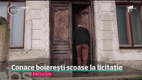 Conace boiereşti, scoase la licitație. De la cât pornesc prețurile