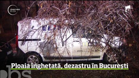 Dezastru în București, după ploaia înghețată! Doi oameni, răniți de crengile care s-au rupt sub greutatea gheții! Sute de mașini, avariate