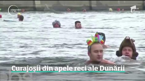 Două mii de curajoşi au sfidat frigul şi au participat la un concurs de înot în Dunăre