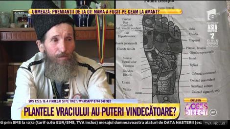 Vraciul Ruben, stăpânul plantelor din Apuseni