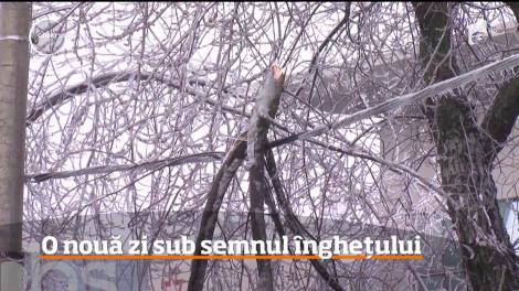 România a fost sub cod galben de chiciuiră!