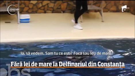 Fără lei de mare la Delfinariul din Constanţa
