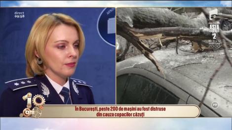 Ploaia înghețată a făcut dezastru în București. Peste 200 de mașini au fost distruse din cauza copacilor căzuți