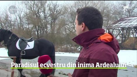 O alternativă tot mai populară la sporturile de iarnă este călăria prin zăpadă!