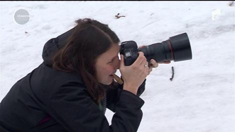 O tânără din Cluj a găsit o metodă foarte ingenioasă care să-i determine pe oameni să adopte animalele fără stăpân