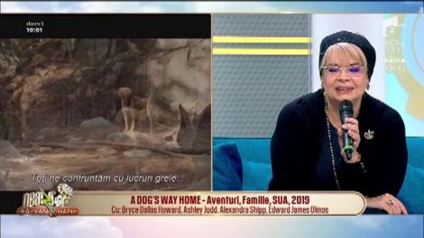 Filmele care te vor face alt om! Ce producții nu ai voie să ratezi în perioada următoare