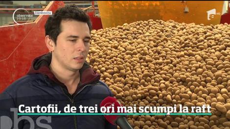 Într-un an cu producţie slabă, cartofii au devenit un lux. Pleacă de la producător cu un preţ, ajung de trei ori mai scumpi în pieţe şi în magazine