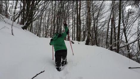 Iarnă grea pentru animalele sălbatice