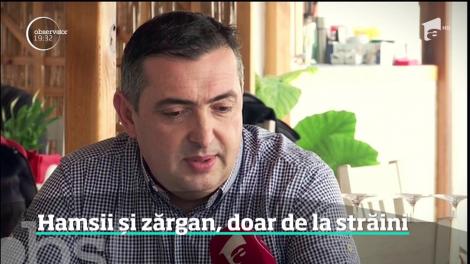 Se schimbă meniul restaurantelor! Hamsia şi zărganul nu se mai găsesc &icirc;n Marea Neagră