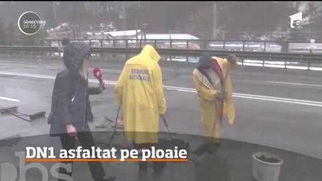 VIDEO| Ploaie? Vânt? Dorel asfaltează pe DN1! „Haide, băi, să mergem!”
