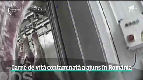 Carnea provenită de la vaci bolnave din Polonia ar fi ajuns în 11 ţări europene, inclusiv în România, susţine Comisia Europeană