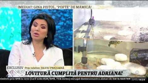 Silviu Prigoană, detalii șocante despre Adriana Bahmuțeanu, în direct! Bahmu, pe punctul de a părăsi emisiunea – VIDEO