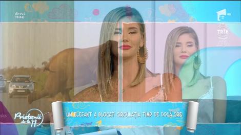 Știri inedite. Dorel a comis-o și în Marea Britanie! Ce s-a întamplat a devenit viral