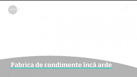 De aproape două zile, fabrica de condimente din Alba arde fără încetare!