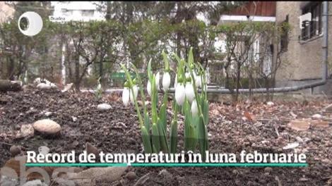 Românii au trăit cel mai călduros 3 februarie din ultimii 60 de ani. Au fost temperaturi istorice, chiar şi de 19 grade