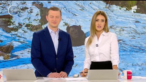 Ziua &icirc;n care urșii prevestesc vremea