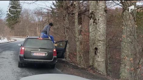 Teribilism în trafic pe drumul care leagă Sinaia de Târgovişte