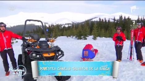 Recco - povestea câinelui salvator de la Rânca