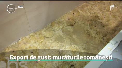 Murăturile pot fi o afacere pe bani frumoşi. Varza murată românească ia drumul Italiei, Angliei sau Spaniei