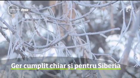 Ger cumplit în Siberia. Temperaturi de până la minus 60 de grade