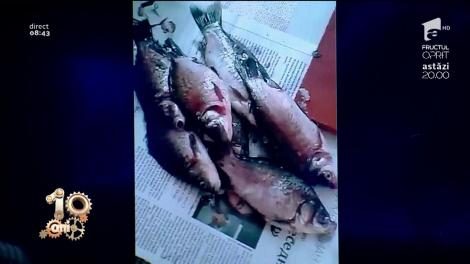 Smiley News. Cum să cureți peștele la bloc fără să faci mizerie