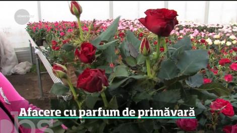 Proprietarii, care au avut inspiraţia să investească în flori, câştigă câteva zeci de mii de euro pe sezon