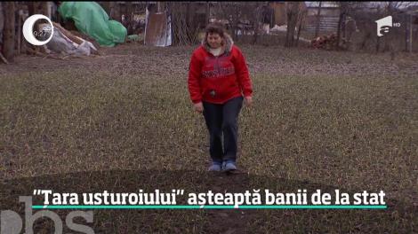 Usturoiul românesc e tot mai rar în magazine şi în pieţe. Iar agricultorii se hrănesc cu promisiuni. Ministerul le-a promis bani, ei fac cereri, dar programul se lasă aşteptat