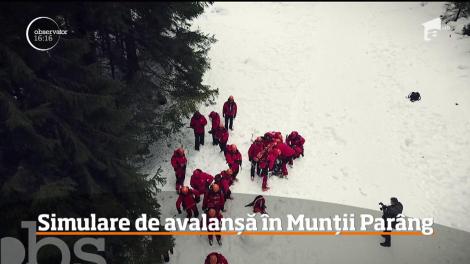 Simulare de avalanșă în Munții Parâng
