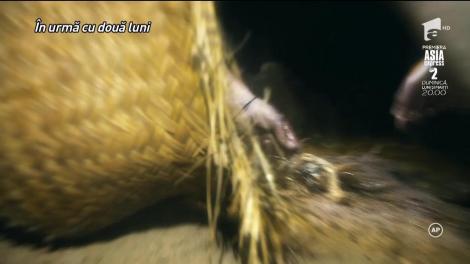 Lemurii, prodați de crabi. Sorin Brotnei: ”Sunt niște hoțomani, fură tot ce se poate”