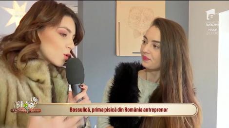 Bossulică, prima pisică din România antreprenor