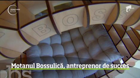 Motanul Bossulică, antreprenor de succes