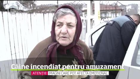 Câine incendiat pentru amuzament, de doi adolescenţi din Dâmboviţa