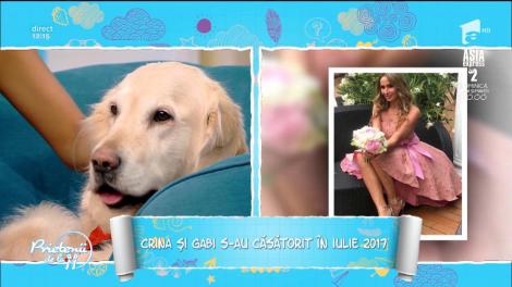 Crina Abrudan, despre animale de companie, călătorii și carieră: ”Îmi e dor de televiziune”