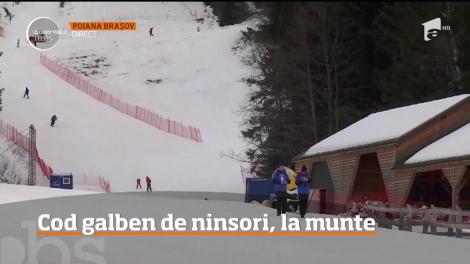 Cod galben de ninsori și viscol, la munte