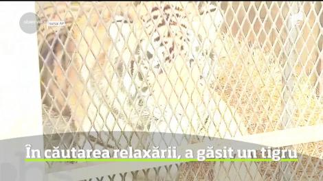 A vrut să se ascundă ca să se drogheze, dar a făcut o descoperire ce l-ar fi putut ucide! Inițial, polițiștii au crezut că omul are halucinații - Video