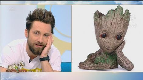 Freza lui Dani Oțil, motiv de glume: ”Ăsta este un copac. Are capul de lemn. Nu vă este rușine?!”