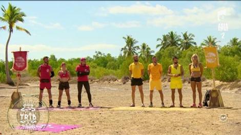 Veste excelentă pentru lemuri! Mircea a revenit în competiţie! "Am avut o infecţie foarte mare, dar am trecut de faza critică!"