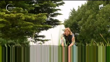 Relaţia dintre un câine şi un pui de oposum înduioşează Australia!