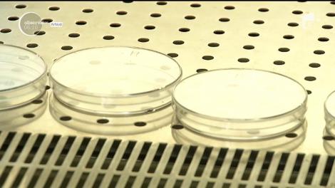 Un &icirc;ntreg lot de fulgi de nucă de cocos, retras de pe piaţă