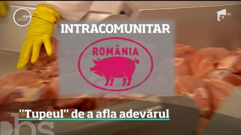 Omorâm porcii de la noi și importăm carne infestată din Ungaria! Descoperirea făcută în magazinele românești