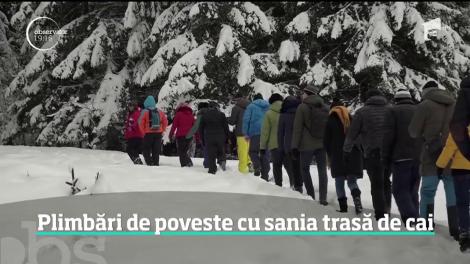 Plimbări de poveste cu sania trasă de cai