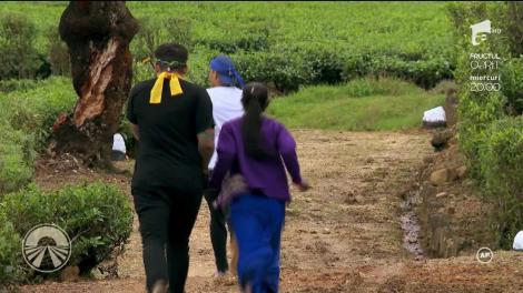 CRBL și Oase, dificultăți mari la jocul de amuletă: "Toate arată la fel!"