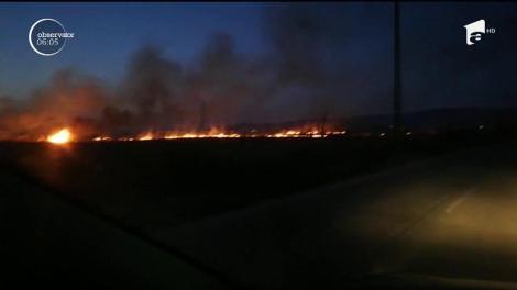 Incendiu puternic de vegetaţie &icirc;n judeţul Argeş