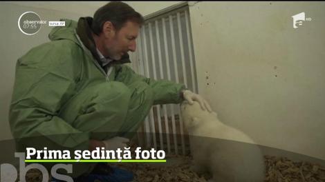 Un urs polar de 11 săptămâni a fost prezentat la grădina zoologică din Berlin