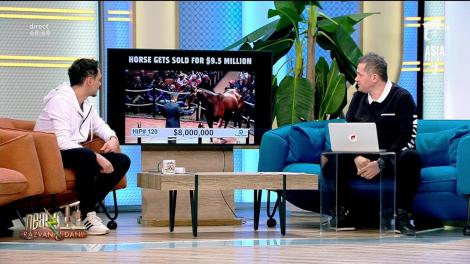 Smiley News. Un cal a fost vândut cu 9.5 milioane de dolari