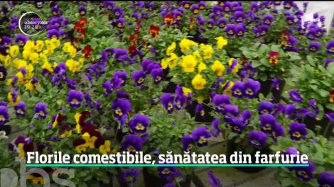 Panseluţele nu decorează doar trotuarele din oraşe, ci şi farfuriile. Bucătarii le folosesc tot mai des