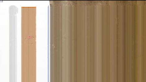 Carnea cu risc de pestă porcină africană adusă din Ungaria, confiscată